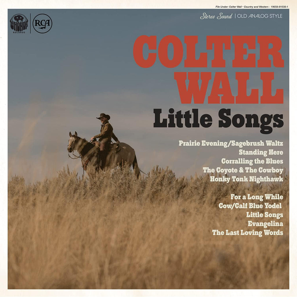 COLTER WALL - Little Songs - LP - Blue Vinyl