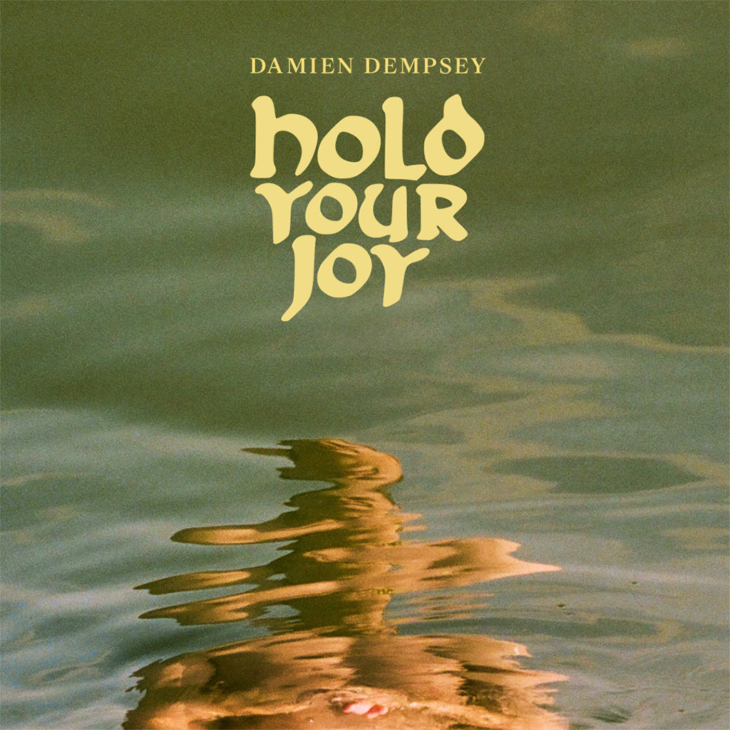 DAMIEN DEMPSEY - Hold Your Joy - 2LP - Transparent Orange Vinyl [OCT 25]