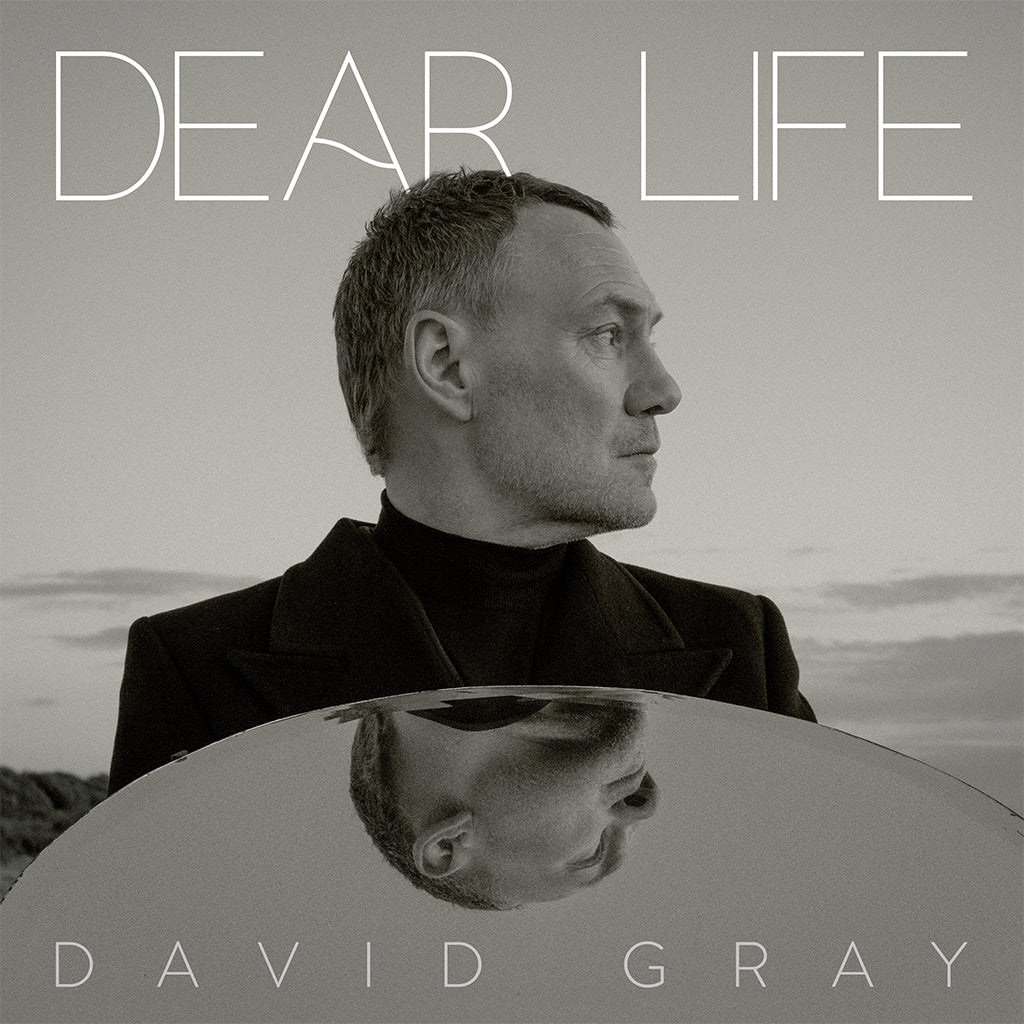 DAVID GRAY - Dear Life (with SIGNED Print) - 2LP - Seaweed Green Vinyl [JAN 17]