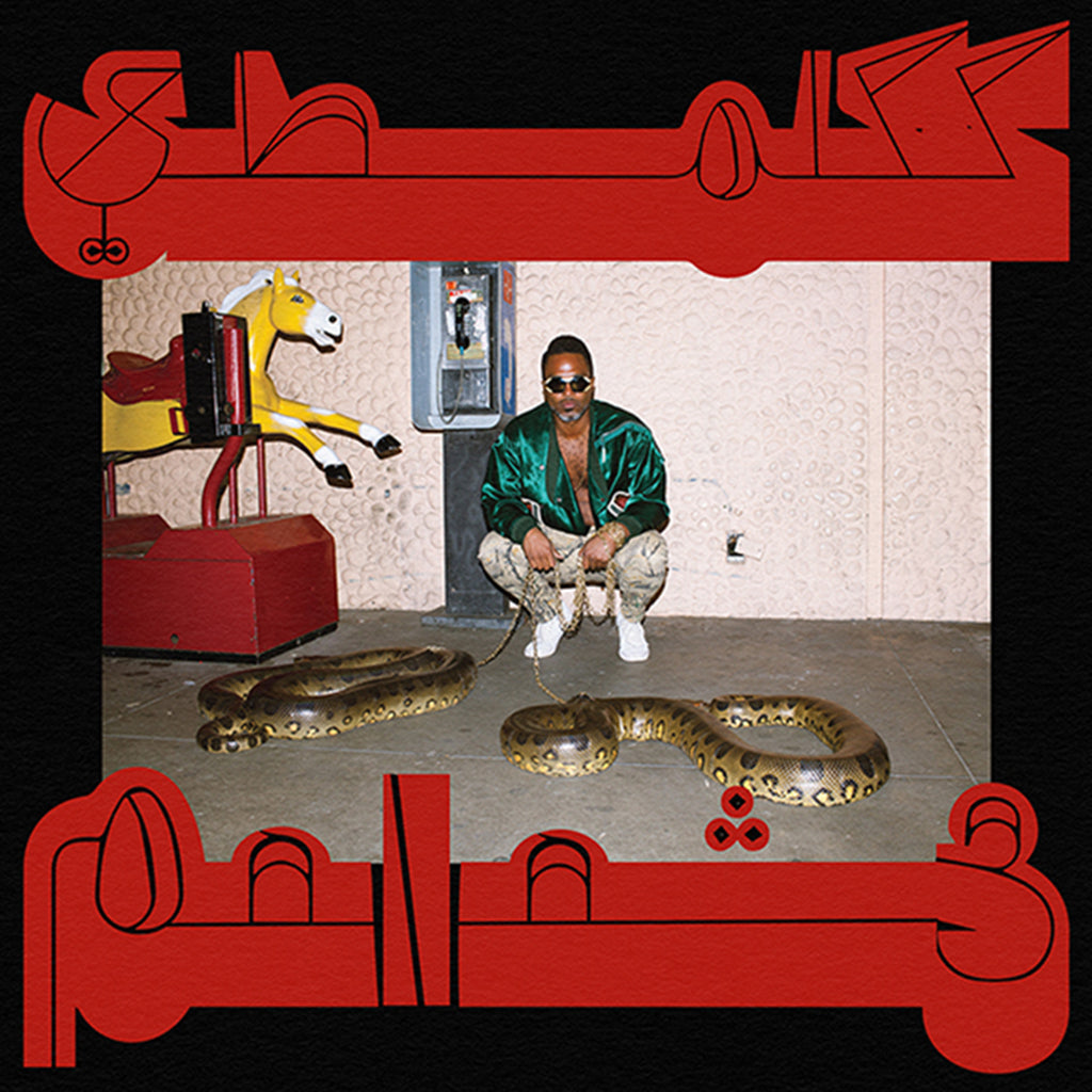 SHABAZZ PALACES - Robed In Rareness - CD